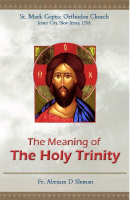 the_Meaning_of_the_Holy_Trinity_fr_abraam_sleman.pdf